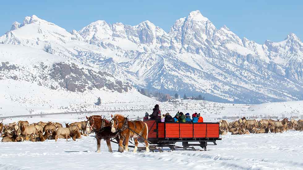 10 best things about skiing in Jackson Hole